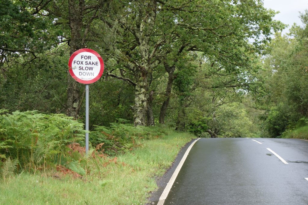 Coastal Road Trip, Loch Long, For Fox Sake Slow Down