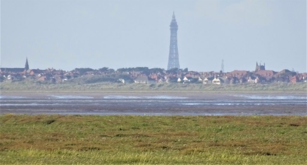 Coastal Road Trip, Marshside, View to Blackpool Tower