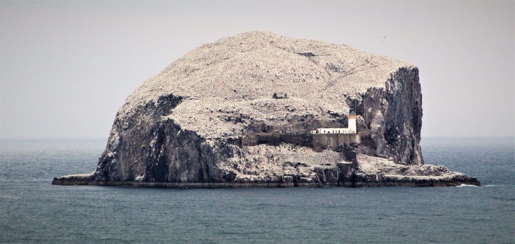 Coastal Road Trip, Bass Rock, Lighthouse